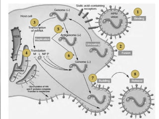 1

    3
        5



                    2
4
            6



                        8
                7
 