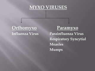 MYXO VIRUSES



Orthomyxo             Paramyxo
Influenza Virus   Parainfluenza Virus
                  Respiratory Syncytial
                  Measles
                  Mumps
 