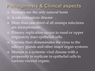    Humans are the only natural hosts
   Acute contagious disease
   More than one-third of all mumps infections
    are asymptomatic.
   Primary replication occurs in nasal or upper
    respiratory tract epithelial cells.
   Viremia then disseminates the virus to the
    salivary glands and other major organ systems.
   Mumps is a systemic viral disease with a
    propensity to replicate in epithelial cells in
    various visceral organs.
 