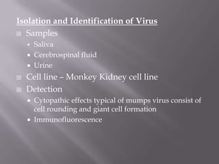 Isolation and Identification of Virus
 Samples
       Saliva
       Cerebrospinal fluid
       Urine
   Cell line – Monkey Kidney cell line
   Detection
       Cytopathic effects typical of mumps virus consist of
        cell rounding and giant cell formation
       Immunofluorescence
 