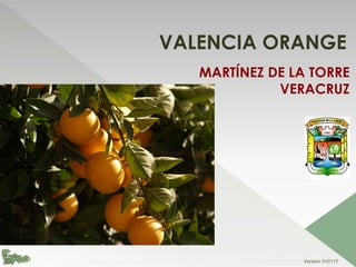 VALENCIA ORANGE
MARTÍNEZ DE LA TORRE
VERACRUZ
Versión 010117
 