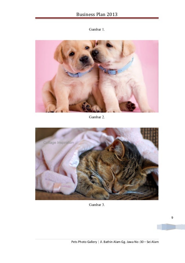 Pmw contoh proposalbisnislengkap