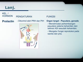 Lanj. 
KEL. / 
HORMON PENGATURAN FUNGSI 
Prolactin - Dikontrol oleh PRH dan PIH Organ target : Payudara, gonads 
- Menstimulasi perkembangan 
payudara selama kehamilan dan 
sekresi ASI sesudah kehamilan. 
- Mengatur fungsi reproduksi pada 
wanita dan pria. 
 