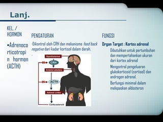 Lanj. 
KEL. / 
HORMON PENGATURAN FUNGSI 
·Adrenoco 
-Dikontrol oleh CRH dan mekanisme feed back 
rticotropi 
negative dari kadar kortisol dalam darah. 
- 
n hormon 
(ACTH) 
Organ Target : Kortex adrenal 
Dibutuhkan untuk pertumbuhan 
dan mempertahankan ukuran 
dari kortex adrenal 
Mengontrol pengeluaran 
glukokorticoid (cortisol) dan 
androgen adrenal. 
Berfungsi minimal dalam 
melepaskan aldosteron 
 