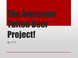 The Awesome
Tufted Deer
Project!
By P N
 