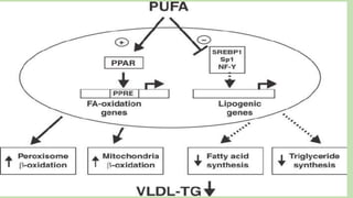 regulation of genes by fatty acids | PPTX