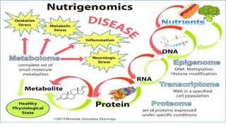regulation of genes by fatty acids | PPTX