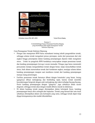 ! Ilustrasi 3.
Contoh Berbagai Kasus Penurunan Kualitas Daging
yang Disebabkan Oleh Salah Penanganan Ternak
Sebelum Dipotong
!
Cara Penanganan Ternak Sebelum Dipotong
• Petugas dan manajemen RPH harus memahami tentang teknik pengendalian ternak,
sehingga selama ternak mengalami proses persiapan, mulai dari penurunan dari alat
angkut hingga penempatan dalam kandang penampungan dijamin tidak mengalami
stress. Untuk itu pengelola RPH hendaknya menyiapkan tempat penurunan ternak
dan kandang penampungan (lairage) secara memadai. Petugas juga harus memenuhi
persyaratan mampu mengendalikan ternak dengan benar, tanpa menyebabkan ternak
stress, baik dalam menurunkan ternak dari kendaraan angkut, menjaga selama dalam
kandang penampungan maupun saat membawa ternak dari kandang penampungan
menuju ruang pemotongan.
• Fasilitas penurunan ternak harusnya dibuat dengan konstruksi yang benar, lorong
(gangway) dibuat melengkung dan berdinding rapat, karena ternak memiliki
kecenderungan bergerak dengan arah melengkung dan takut terhadap bayang-bayang.
Posisi kandang penampungan dengan “gangway” juga sebaiknya ditata secara
diagonal, sehingga ternak akan dengan mudah dibawa masuk ke dalamnya.
• Di dalam kandang ternak jangan ditempatkan dalam kelompok besar, kandang
penampungan hanya diisi setengah dari kapasitas. Ternak yang berasal dari satu truck
sebaiknya ditempatkan dalam satu kelompok yang sama, sehingga ternak dapat tetap
dijaga ketenganannya dan mudah dikendalikan.
!
Perbedaan Antara PSE, RFN, DFD Variasi Warna Daging
!
!13
 