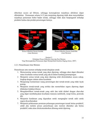 diberikan secara ad libitum, sehingga kemungkinan terjadinya dehidrasi dapat
dihindarkan. Pemuasaan selama 8-12 jam menjelang dipotong tidak akan menyebabkan
terjadinya penurunan bobot badan ternak, sehingga tidak akan berpengaruh terhadap
produksi karkas dan produk pemotongan lainnya.
!
!
!
!Ilustrasi 5.
Perbedaan Proses Glikolisis Ante dan Post Mortem
Yang Memungkinkan Pemuasaan dapat Memperbaiki Kualitas Daging (Jones, 2007)
!
2.2.3. Pemeriksaan Ante Mortem
!
Pemeriksaan ante mortem terhadap ternak ditujukan untuk:
1. Menscreening semua ternak yang akan dipotong, sehingga akan dapat diketahui
status kesehatan semua ternak yang ada di dalam kandang penampungan.
2. Menjamin semua ternak yang akan dipotong telah diistirahatkan secara cukup,
lengkap dengan catatan status kesehatan
3. Mengurangi kontaminasi ruang pemotongan dari ternak-ternak yang tidak layak
potong
4. Menjamin ternak-ternak yang terluka dan memerlukan segera dipotong dapat
dilakukan tindakan khusus
5. Mengidentifikasi ternak-ternak yang sakit dan telah diobati dengan obat-obat
yang dapat membahayakan kesehatan manusia (antibiotik, terapi kimia, pestisida
dll)
6. Menjamin kendaraan yang digunakan untuk mengangkut ternak sakit untuk
segera dicucihamakan
7. Menjamin pelaksanaan peraturan pelarangan pemotongan ternak betina produktif,
sebab jika melalui proses pemeriksaan ante mortem diketahui ada betina
produktif, maka akan direkomendasikan dilarang untuk dipotong.
!
!
!
Proses Glikolisis Secara Aerobik
(Ante Mortem)
GLUCOSE GLYCOGEN
SARCOLEMMA
2 Pyruvate
3 ATP
glycolysis
10 reactions
Lactic Acid
anaerobic
pathway
aerobic
pathway
Circulatory System
Aerobic
Metabolism
O2
O2
!
Proses Glikolisis Secara Anaerobik
(Ante Mortem)
GLUCOSE GLYCOGEN
SARCOLEMMA
2 Pyruvate
3 ATP
glycolysis
10 reactions
Circulatory System
LACTIC ACID
anaerobic
pathway
Aerobic
Metabolism pH
drops
!15
 