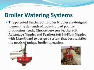 feeding system in control shed and poultry feeding practices | PPTX