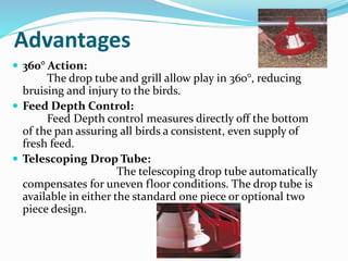 feeding system in control shed and poultry feeding practices | PPTX