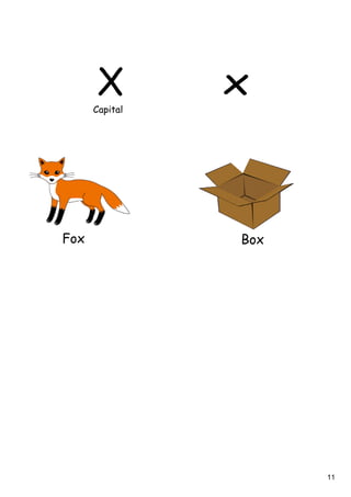 11
X xCapital
Fox Box
 