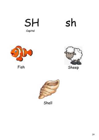 24
SH sh
Capital
Fish Sheep
Capital
Shell
 