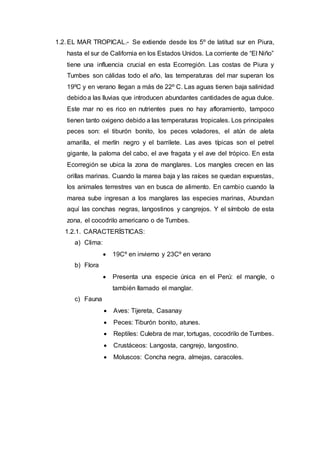 1.2. EL MAR TROPICAL.- Se extiende desde los 5º de latitud sur en Piura,
hasta el sur de California en los Estados Unidos. La corriente de “El Niño”
tiene una influencia crucial en esta Ecorregión. Las costas de Piura y
Tumbes son cálidas todo el año, las temperaturas del mar superan los
19ºC y en verano llegan a más de 22º C. Las aguas tienen baja salinidad
debidoa las lluvias que introducen abundantes cantidades de agua dulce.
Este mar no es rico en nutrientes pues no hay afloramiento, tampoco
tienen tanto oxigeno debido a las temperaturas tropicales. Los principales
peces son: el tiburón bonito, los peces voladores, el atún de aleta
amarilla, el merlín negro y el barrilete. Las aves típicas son el petrel
gigante, la paloma del cabo, el ave fragata y el ave del trópico. En esta
Ecorregión se ubica la zona de manglares. Los mangles crecen en las
orillas marinas. Cuando la marea baja y las raíces se quedan expuestas,
los animales terrestres van en busca de alimento. En cambio cuando la
marea sube ingresan a los manglares las especies marinas, Abundan
aquí las conchas negras, langostinos y cangrejos. Y el símbolo de esta
zona, el cocodrilo americano o de Tumbes.
1.2.1. CARACTERÍSTICAS:
a) Clima:
 19Cº en invierno y 23Cº en verano
b) Flora
 Presenta una especie única en el Perú: el mangle, o
también llamado el manglar.
c) Fauna
 Aves: Tijereta, Casanay
 Peces: Tiburón bonito, atunes.
 Reptiles: Culebra de mar, tortugas, cocodrilo de Tumbes.
 Crustáceos: Langosta, cangrejo, langostino.
 Moluscos: Concha negra, almejas, caracoles.
 