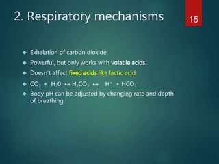 152. Respiratory mechanisms
 Exhalation of carbon dioxide
 Powerful, but only works with volatile acids
 Doesn’t affect fixed acids like lactic acid
 CO2 + H20 ↔ H2CO3 ↔ H+ + HCO3
-
 Body pH can be adjusted by changing rate and depth
of breathing
 