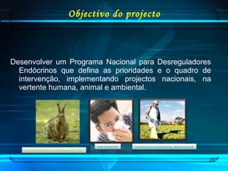 Objectivo do projecto Desenvolver um Programa Nacional para Desreguladores Endócrinos que defina as prioridades e o quadro de intervenção, implementando projectos nacionais, na vertente humana, animal e ambiental. www.enetural.pt   www.fiocruz.brccsmediaincqs_agrotoxico2.jpg   http://salomao.tijolo.zip.net/images/coelho.jpg  
