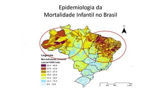Epidemiologia da
Mortalidade Infantil no Brasil
 