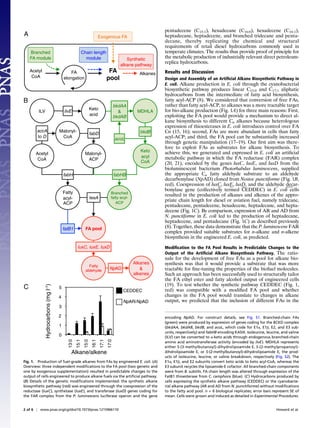Synthesis of customized petroleum-replica fuel molecules by targeted ...