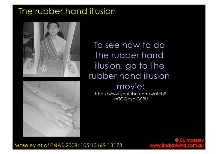 The Rubber Hand Illusion