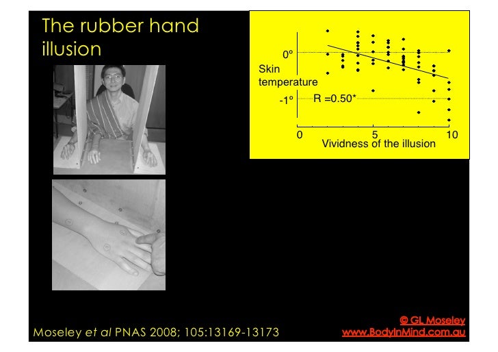 The Rubber Hand Illusion