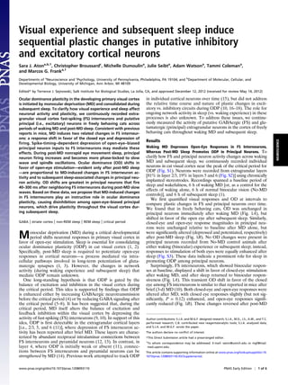 Visual experience and subsequent sleep induce
sequential plastic changes in putative inhibitory
and excitatory cortical neurons
Sara J. Atona,b,1, Christopher Broussardc, Michelle Dumoulina, Julie Seibta, Adam Watsona, Tammi Colemana,
and Marcos G. Franka,1
Departments of aNeuroscience and cPsychology, University of Pennsylvania, Philadelphia, PA 19104; and bDepartment of Molecular, Cellular, and
Developmental Biology, University of Michigan, Ann Arbor, MI 48109

Edited* by Terrence J. Sejnowski, Salk Institute for Biological Studies, La Jolla, CA, and approved December 12, 2012 (received for review May 14, 2012)

Ocular dominance plasticity in the developing primary visual cortex            in individual cortical neurons over time (15), but did not address
is initiated by monocular deprivation (MD) and consolidated during             the relative time course and nature of plastic changes in excit-
subsequent sleep. To clarify how visual experience and sleep affect            atory vs. inhibitory circuits during ODP (10, 16–18). The role for
neuronal activity and plasticity, we continuously recorded extra-              ongoing network activity in sleep (vs. waking experience) in these
granular visual cortex fast-spiking (FS) interneurons and putative             processes is also unknown. To address these issues, we continu-
principal (i.e., excitatory) neurons in freely behaving cats across            ously measured the activity of putative GABAergic (FS) and glu-
periods of waking MD and post-MD sleep. Consistent with previous               tamatergic (principal) extragranular neurons in the cortex of freely
reports in mice, MD induces two related changes in FS interneur-               behaving cats throughout waking MD and subsequent sleep.
ons: a response shift in favor of the closed eye and depression of
                                                                               Results




                                                                                                                                                                               NEUROSCIENCE
ﬁring. Spike-timing–dependent depression of open-eye–biased
principal neuron inputs to FS interneurons may mediate these                   Waking MD Depresses Open-Eye Responses in FS Interneurons,
effects. During post-MD nonrapid eye movement sleep, principal                 Whereas Post-MD Sleep Promotes ODP in Principal Neurons. To
neuron ﬁring increases and becomes more phase-locked to slow                   clarify how FS and principal neuron activity changes across waking
wave and spindle oscillations. Ocular dominance (OD) shifts in                 MD and subsequent sleep, we continuously recorded individual
favor of open-eye stimulation—evident only after post-MD sleep                 neurons in cat visual cortex near the peak of the critical period for
—are proportional to MD-induced changes in FS interneuron ac-                  ODP (Fig. S1). Neurons were recorded from extragranular layers
tivity and to subsequent sleep-associated changes in principal neu-            [81% in layer 2/3, 19% in layers 5 and 6 (Fig. S2)] using chronically
ron activity. OD shifts are greatest in principal neurons that ﬁre
                                                                               implanted stereotrodes. Recordings spanned a baseline period of
                                                                               sleep and wakefulness, 6 h of waking MD [or, as a control for the
40–300 ms after neighboring FS interneurons during post-MD slow
                                                                               effects of waking alone, 6 h of normal binocular vision (No-MD
waves. Based on these data, we propose that MD-induced changes
                                                                               controls)], and 6 h of subsequent sleep (1).
in FS interneurons play an instructive role in ocular dominance
                                                                                  We ﬁrst quantiﬁed visual responses and OD at intervals to
plasticity, causing disinhibition among open-eye–biased principal
                                                                               compare plastic changes in FS and principal neurons over time.
neurons, which drive plasticity throughout the visual cortex dur-              We found that in freely behaving cats, OD was unchanged in
ing subsequent sleep.                                                          principal neurons immediately after waking MD (Fig. 1A), but
                                                                               shifted in favor of the open eye after subsequent sleep. Similarly,
GABA   | striate cortex | non-REM sleep | REM sleep | critical period          closed-eye and open-eye response magnitudes in principal neu-
                                                                               rons were unchanged relative to baseline after MD alone, but

M       onocular deprivation (MD) during a critical developmental
        period shifts neuronal responses in primary visual cortex in
favor of open-eye stimulation. Sleep is essential for consolidating
                                                                               were signiﬁcantly altered (depressed and potentiated, respectively)
                                                                               after post-MD sleep (Fig. 1B). No OD changes were present in
                                                                               principal neurons recorded from No-MD control animals after
ocular dominance plasticity (ODP) in cat visual cortex (1, 2).                 either waking (binocular) experience or subsequent sleep; instead,
Speciﬁcally, post-MD sleep is required to potentiate open-eye                  responses to stimulation of both eyes were equally enhanced after
responses in cortical neurons—a process mediated via intra-                    sleep (Fig. S3). These data indicate a prominent role for sleep in
cellular pathways involved in long-term potentiation of gluta-                 promoting ODP among principal neurons.
matergic synapses (1, 3). However, the changes in network                         Surprisingly, FS interneurons, which showed binocular respon-
activity (during waking experience and subsequent sleep) that                  ses at baseline, displayed a shift in favor of closed-eye stimulation
mediate ODP remain unknown.                                                    after waking MD, and after sleep returned to binocular respon-
   One long-standing hypothesis is that ODP is gated by the                    siveness (Fig. 1A). This transient OD shift in favor of the closed
balance of excitation and inhibition in the visual cortex during               eye among FS interneurons is similar to that reported in mice after
the critical period. This idea is supported by ﬁndings that ODP                brief (3-d) MD (10). Both closed-eye and open-eye responses were
is enhanced either by increasing GABAergic neurotransmission                   altered after MD, with closed eye responses slightly (but not sig-
before the critical period (4) or by reducing GABA signaling after             niﬁcantly, P = 0.12) enhanced, and open-eye responses signiﬁ-
the critical period (5–8). It has been suggested that, during the              cantly reduced (Fig. 1B). These changes reversed after post-MD
critical period, MD itself alters the balance of excitation and
feedback inhibition within the visual cortex by depressing the
activity of fast-spiking (FS) interneurons (9, 10). In support of this         Author contributions: S.J.A. and M.G.F. designed research; S.J.A., M.D., J.S., A.W., and T.C.
idea, ODP is ﬁrst detectable in the extragranular cortical layers              performed research; C.B. contributed new reagents/analytic tools; S.J.A. analyzed data;
[i.e., 2/3, 5, and 6 (11)], where depression of FS interneuron ac-             and S.J.A. and M.G.F. wrote the paper.
tivity has been reported after brief MD. These layers are charac-              The authors declare no conﬂict of interest.
terized by abundant reciprocal intralaminar connections between                *This Direct Submission article had a prearranged editor.
FS interneurons and pyramidal neurons (12, 13). In contrast, in                1
                                                                                   To whom correspondence may be addressed. E-mail: saton@umich.edu or mgf@mail.
layer 4, where ODP is initially weak or absent (11), connec-                       med.upenn.edu.
tions between FS interneurons and pyramidal neurons can be                     This article contains supporting information online at www.pnas.org/lookup/suppl/doi:10.
strengthened by MD (14). Previous work attempted to track ODP                  1073/pnas.1208093110/-/DCSupplemental.



www.pnas.org/cgi/doi/10.1073/pnas.1208093110                                                                                              PNAS Early Edition | 1 of 6
 