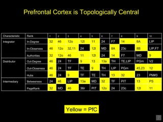 Prefrontal Cortex is Topologically Central Yellow = PfC 11 12l 23c 24 12o PIT 36r 46 MD 32 PageRank PS 13 PIT TF 32 MD 13a...