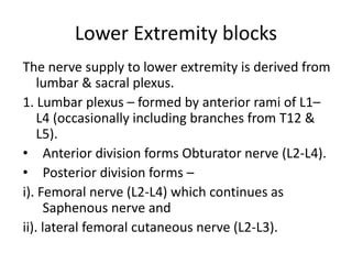 PNB of lower limb & paravertebral block | PPTX