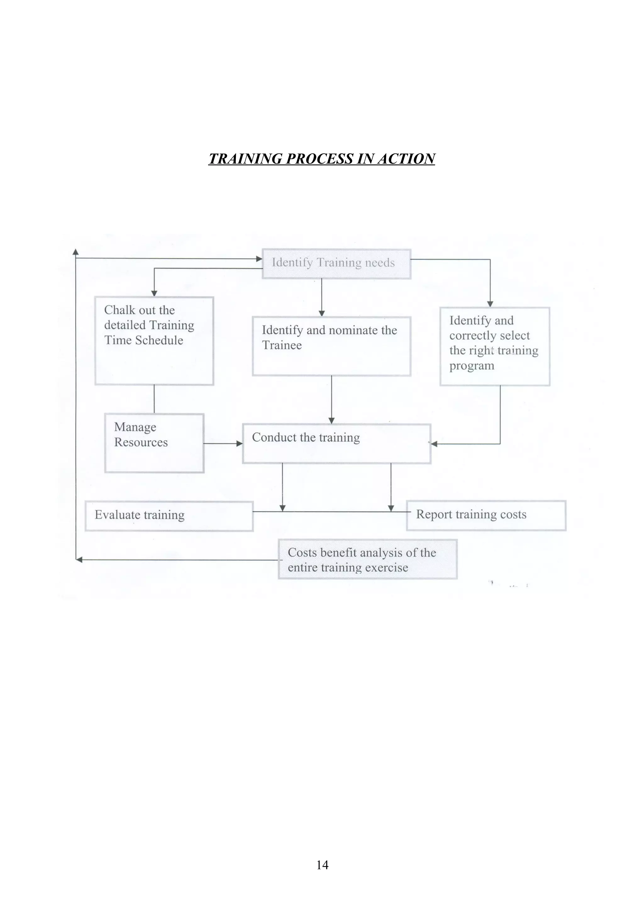 TRAINING PROCESS IN ACTION

14

 