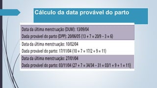 Cálculo da data provável do parto
 