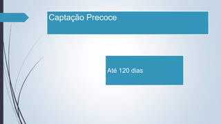 Captação Precoce
Até 120 dias
 