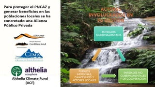 ENTIDADES
GUBERNAMENTALES
ENTIDADES NO
GUBERNAMENTALES
Y DE COOPERACION
PUEBLOS
INDIGENAS,
CAMPESINOS Y
ACTORES LOCALES
 