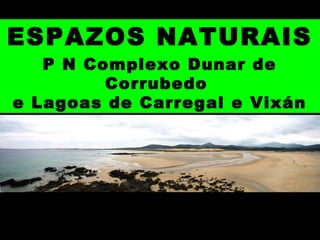 ESPAZOS NATURAIS
P N Complexo Dunar de
Corrubedo
e Lagoas de Carregal e Vixán
 