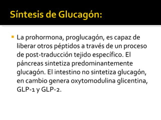 La prohormona, proglucagón, es capaz de liberar otros péptidos a través de un proceso de post-traducción tejido específico. El páncreas sintetiza predominantemente glucagón. El intestino no sintetiza glucagón, en cambio genera oxytomodulina glicentina, GLP-1 y GLP-2. 
