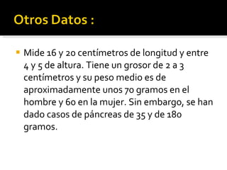 Mide 16 y 20 centímetros de longitud y entre 4 y 5 de altura. Tiene un grosor de 2 a 3 centímetros y su peso medio es de aproximadamente unos 70 gramos en el hombre y 60 en la mujer. Sin embargo, se han dado casos de páncreas de 35 y de 180 gramos. 