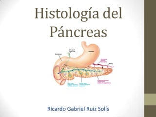 Histología del
Páncreas
Ricardo Gabriel Ruiz Solís
 