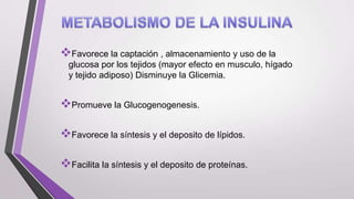 Favorece la captación , almacenamiento y uso de la
glucosa por los tejidos (mayor efecto en musculo, hígado
y tejido adiposo) Disminuye la Glicemia.

Promueve la Glucogenogenesis.
Favorece la síntesis y el deposito de lípidos.
Facilita la síntesis y el deposito de proteínas.

 