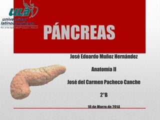 PÁNCREAS
José Edoardo Muñoz Hernández
Anatomía II
José del Carmen Pacheco Canche
2°B
10 de Marzo de 2014
 