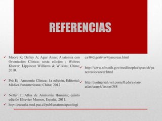 REFERENCIAS
 Moore K; Dalley A; Agur Anne; Anatomía con
Orientación Clínica; sexta edición ; Woltres
Kluwer; Lippincot Williams & Wilkins; China;
2010.
 Pró E; Anatomía Clínica; 1a edición, Editorial;
Médica Panamericana; China; 2012
 Netter F; Atlas de Anatomía Humana; quinta
edición Elsevier Masson, España; 2011.
 http://escuela.med.puc.cl/publ/anatomiapatologi
ca/04digestivo/4pancreas.html
 http://www.nlm.nih.gov/medlineplus/spanish/pa
ncreaticcancer.html
 http://partnersah.vet.cornell.edu/avian-
atlas/search/lesion/388
 