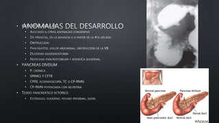 •
•
•
•
•
•
•
•
•
•
•
•
•
•