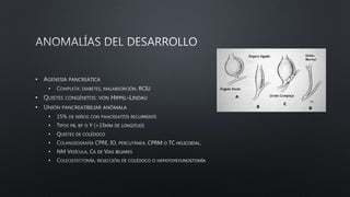 •
•
•
•
•
•
•
•
•
•