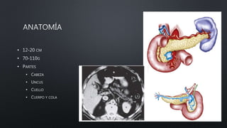 •
•
•
•
•
•
•