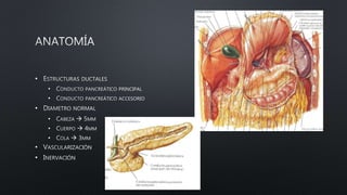 •
•
•
•
•
•
•
•
•