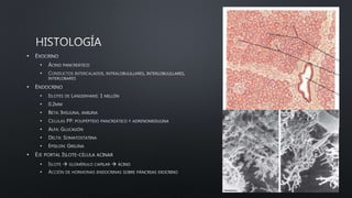 •
•
•
•
•
•
•
•
•
•
•
•
•
•