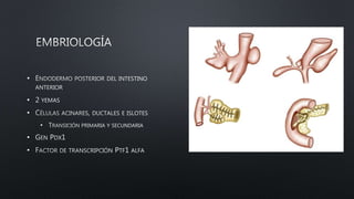 •
•
•
•
•
•