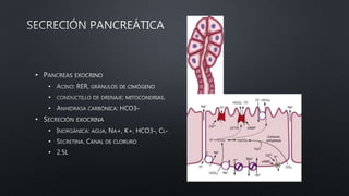 •
•
•
•
•
•
•
•