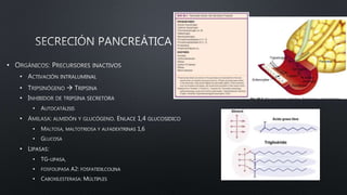 •
•
•
•
•
•
•
•
•
•
•
•