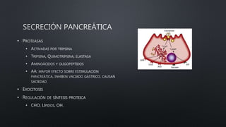 •
•
•
•
•
•
•
•