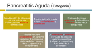 Pancreatitis Aguda (Patogenia) 
Autodigestión de páncreas 
por una activación 
inadecuada de enzimas 
pancreáticas 
Tripsina activada puede 
activar profosfolipasa y 
proelastasa 
Enzimas degradan 
adipocitos y dañan fibras 
elásticas de los vasos 
sanguíneos 
Tripsina convierte 
precalicreína en su forma 
activada  introduce al 
sistema de las cininas y 
de la coagulación y 
complemento 
La inflamación y trombosis 
de vasos de pequeño 
calibre se amplifica 
(peligro de congestión y 
rotura de vasos 
debilitados) 
 