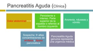 Pancreatitis Aguda (Clínica) 
Dolor abdominal +++ 
Persistente e 
intenso. Parte 
superior de la 
espalda o referido al 
hombro izquierdo 
Anorexia, náuseas y 
vómito 
Sospecha  altas 
concentraciones de 
amilasa y lipasa 
pancreática 
Pancreatitis Aguda 
genuina representa 
una urgencia médica 
 