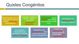 Quistes Congénitos 
Relacionados con un 
desarrollo anómalo 
de los conductos 
pancreáticos 
Coexisten quistes en 
riñones, hígado y 
páncreas 
“enfermedad 
poliquística” 
Uniloculares, pared 
delgada, son desde 
microscópicas hasta 
5cm 
Revestidos por 
epitelio cúbico 
brillante y uniforme 
Si la presión 
intraquística es 
elevada son células 
planas y delgadas 
Rodeados por 
cápsula fibrosa fina 
y llenos de líquido 
seroso transparente 
Pueden ser 
esporádicos o 
formar parte de 
enfermedad von 
hippel lindau 
 